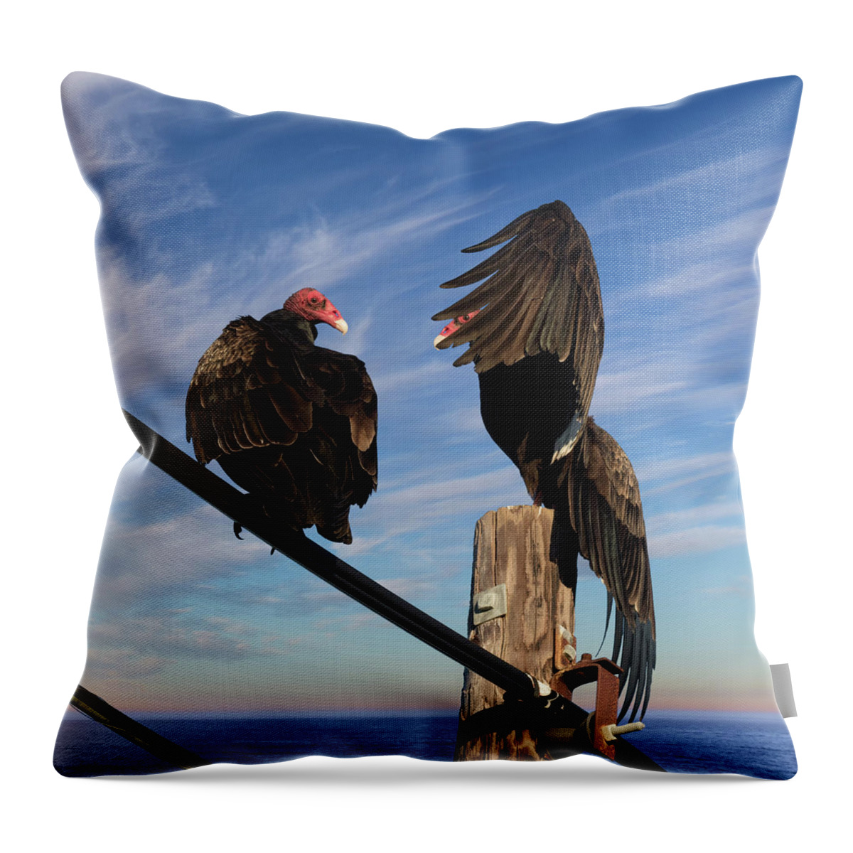 Turkey Vultures Throw Pillow featuring the photograph Turkey Vulture Peek a Boo by Kathleen Bishop