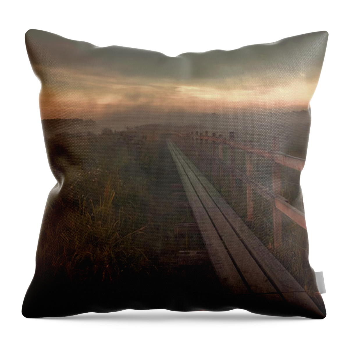 Mist Throw Pillow featuring the photograph Turn To Infinity #g6 by Leif Sohlman
