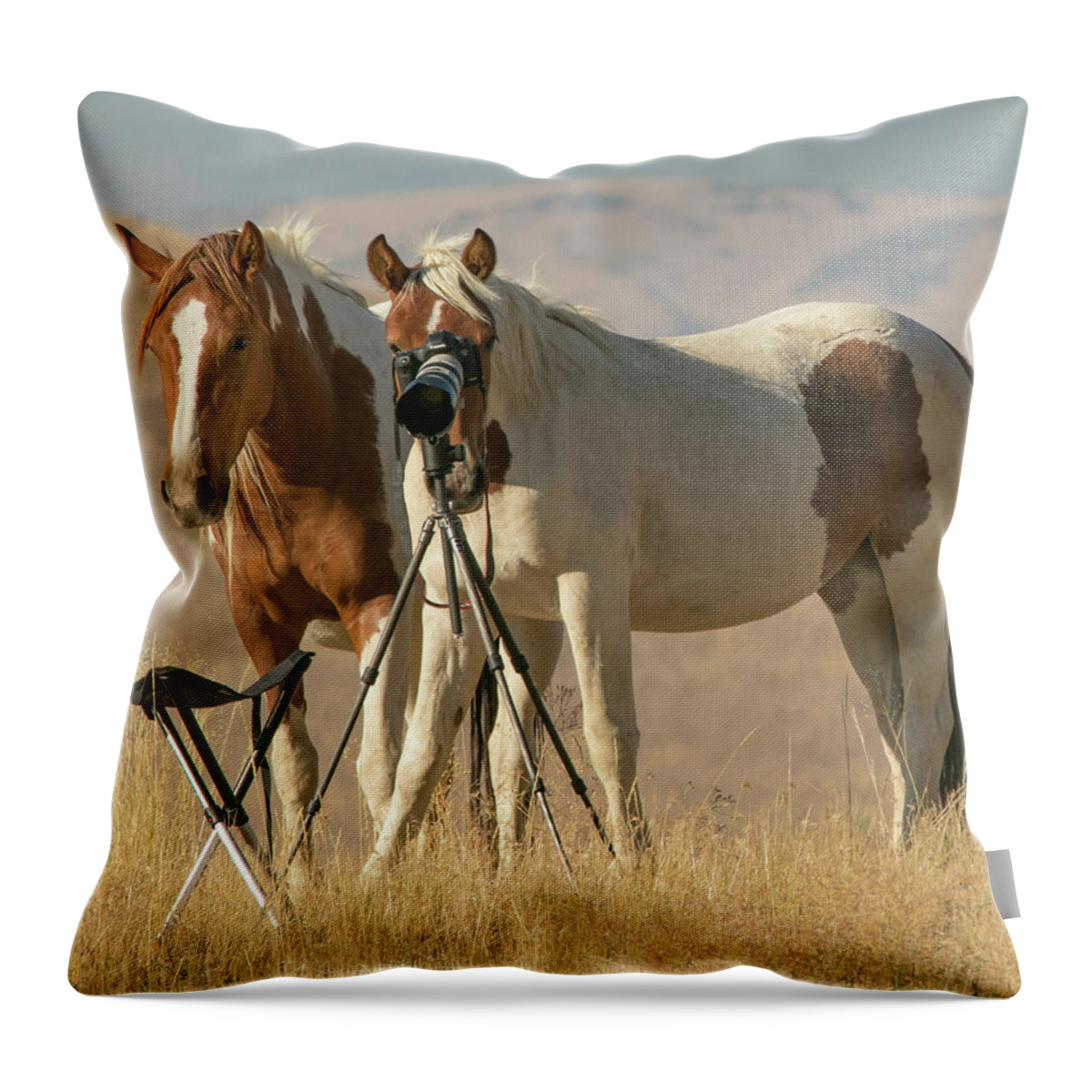 Horse Throw Pillow featuring the photograph Turning The Tables by Kent Keller