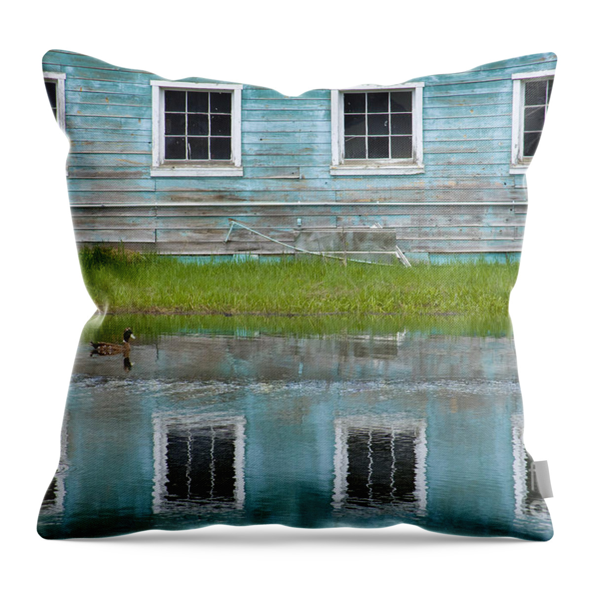 Windows Throw Pillow featuring the photograph Turquiose Illusion by Idaho Scenic Images Linda Lantzy