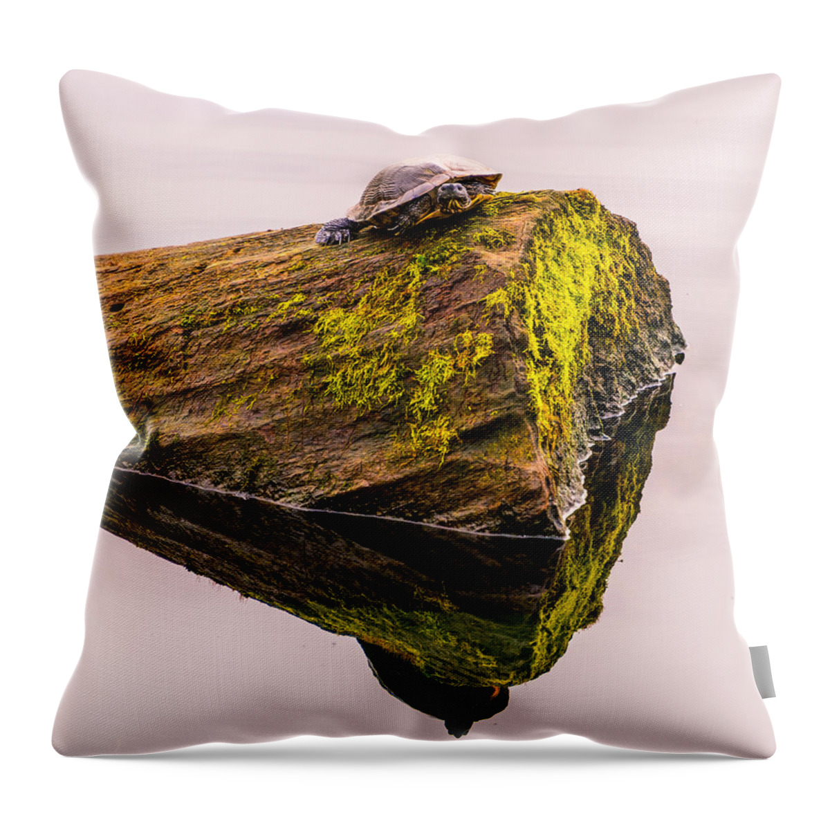 Turtles All The Way Down Throw Pillow featuring the photograph Turtle Basking by Jerry Cahill