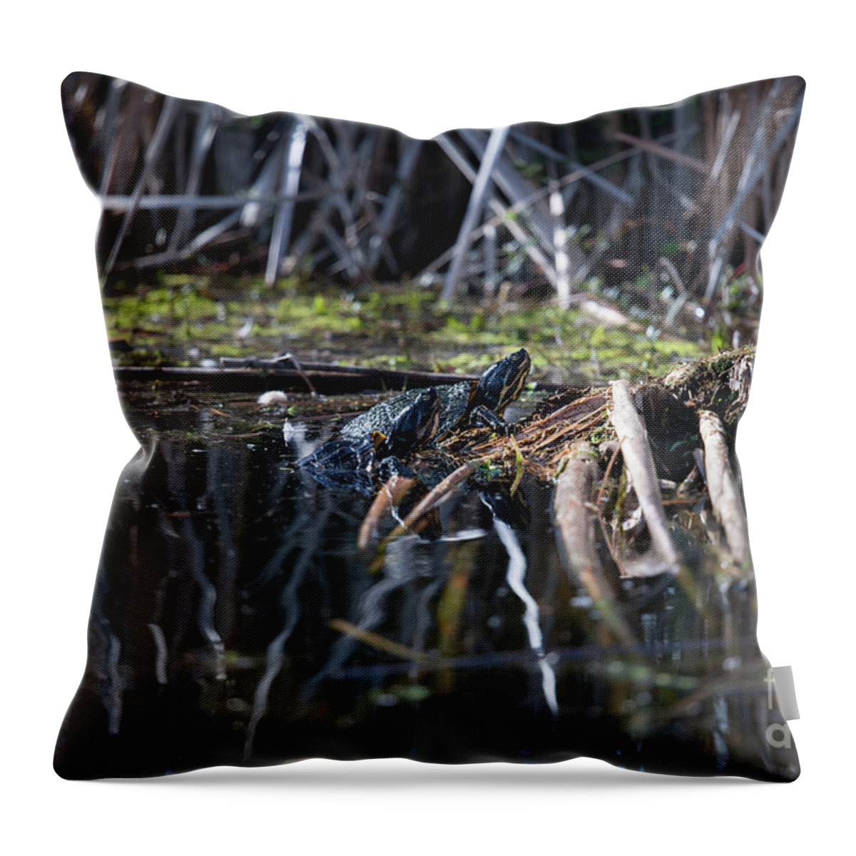 Turtle Throw Pillow featuring the photograph Turtle Dock by Dale Powell