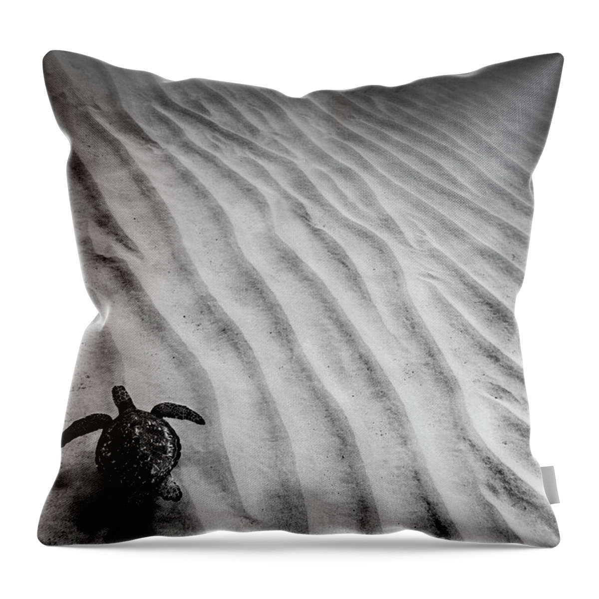 Sea Throw Pillow featuring the photograph Turtle Ridges by Sean Davey