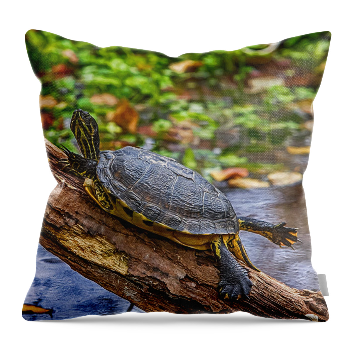 John Haldane Throw Pillow featuring the digital art Turtle Yoga by John Haldane