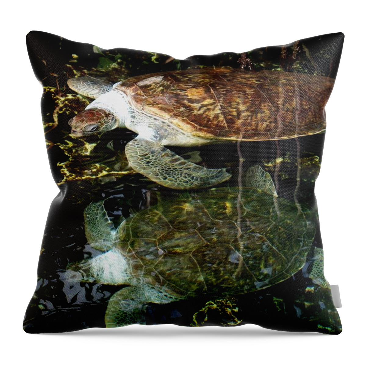 Turtle Throw Pillow featuring the photograph Turtles by Angela Murray