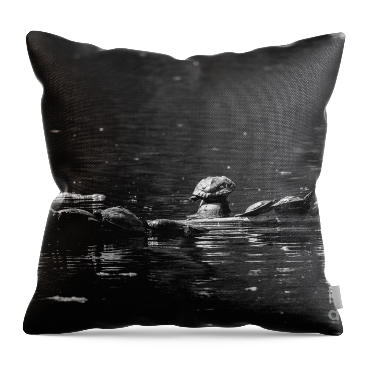 Turtles Throw Pillow featuring the photograph Turtles sunning by JT Lewis