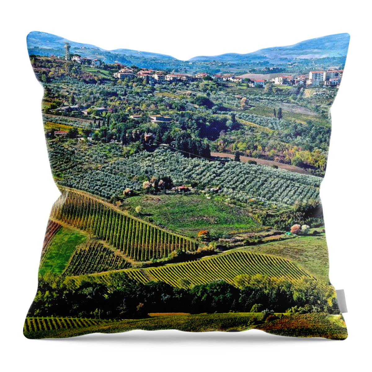 Tuscany Throw Pillow featuring the photograph Tuscan Landscape by Frozen in Time Fine Art Photography