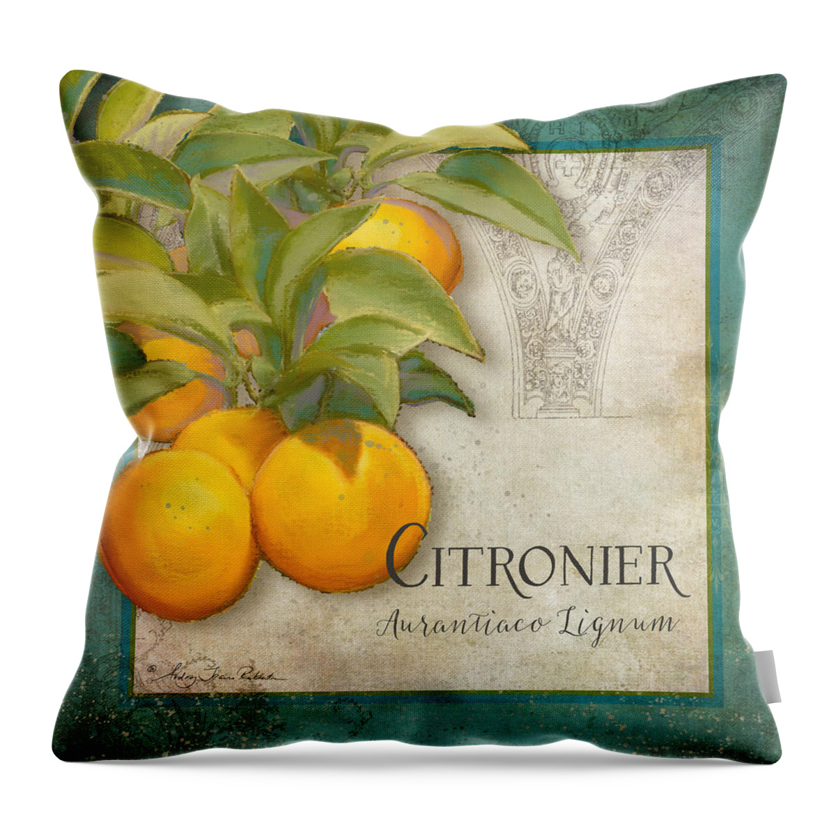 Orange Throw Pillow featuring the painting Tuscan Orange Tree - Citronier Aurantiaco Lignum Vintage by Audrey Jeanne Roberts