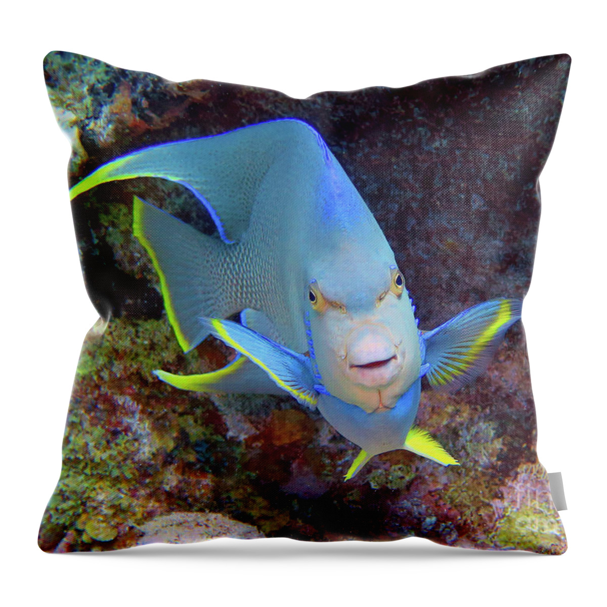 Underwater Throw Pillow featuring the photograph Tweety Bird by Daryl Duda