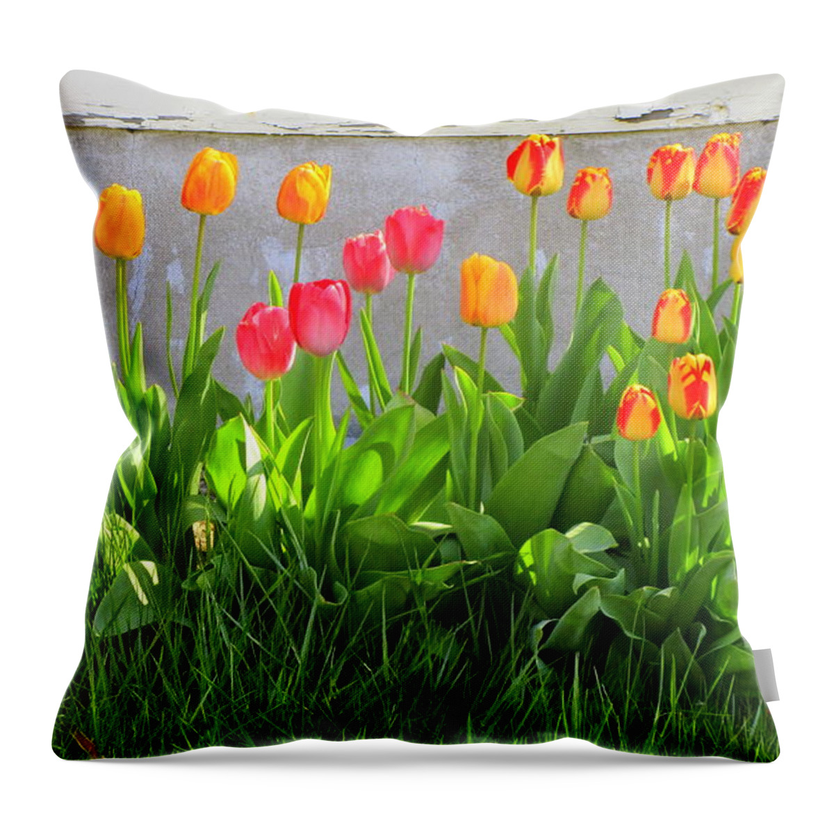 Twenty-five Tulips Throw Pillow featuring the photograph Twenty-Five Tulips by Suzanne DeGeorge