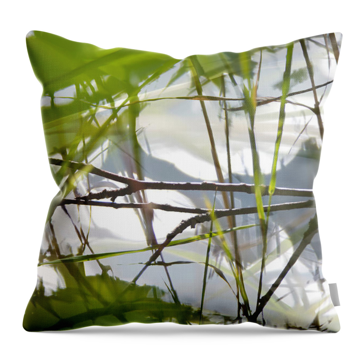 Abstract Throw Pillow featuring the photograph Twig at the shore of a lake - multiple exposure by Ulrich Kunst And Bettina Scheidulin