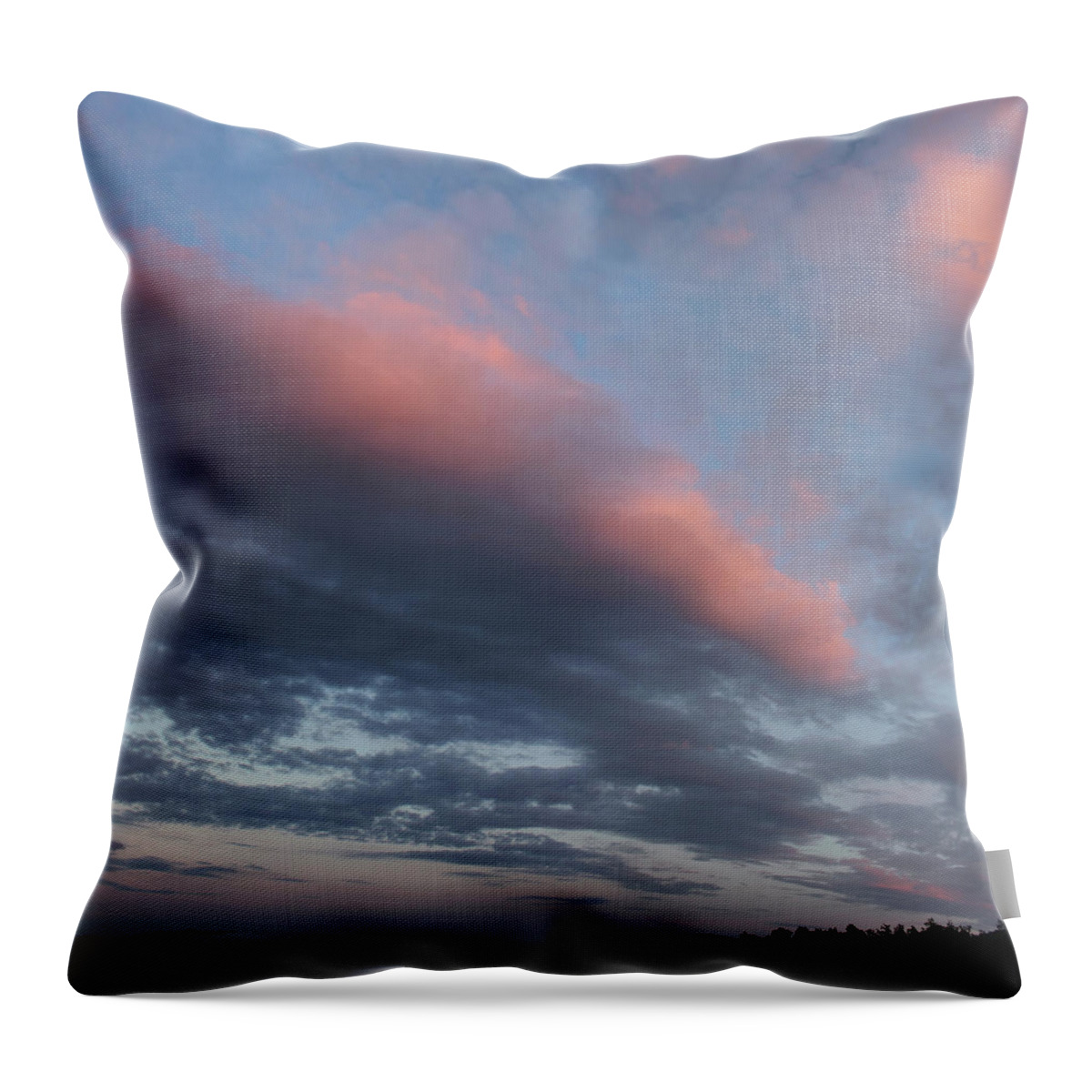 Twilight Throw Pillow featuring the photograph Twilight in the Wilderness by Jerry LoFaro