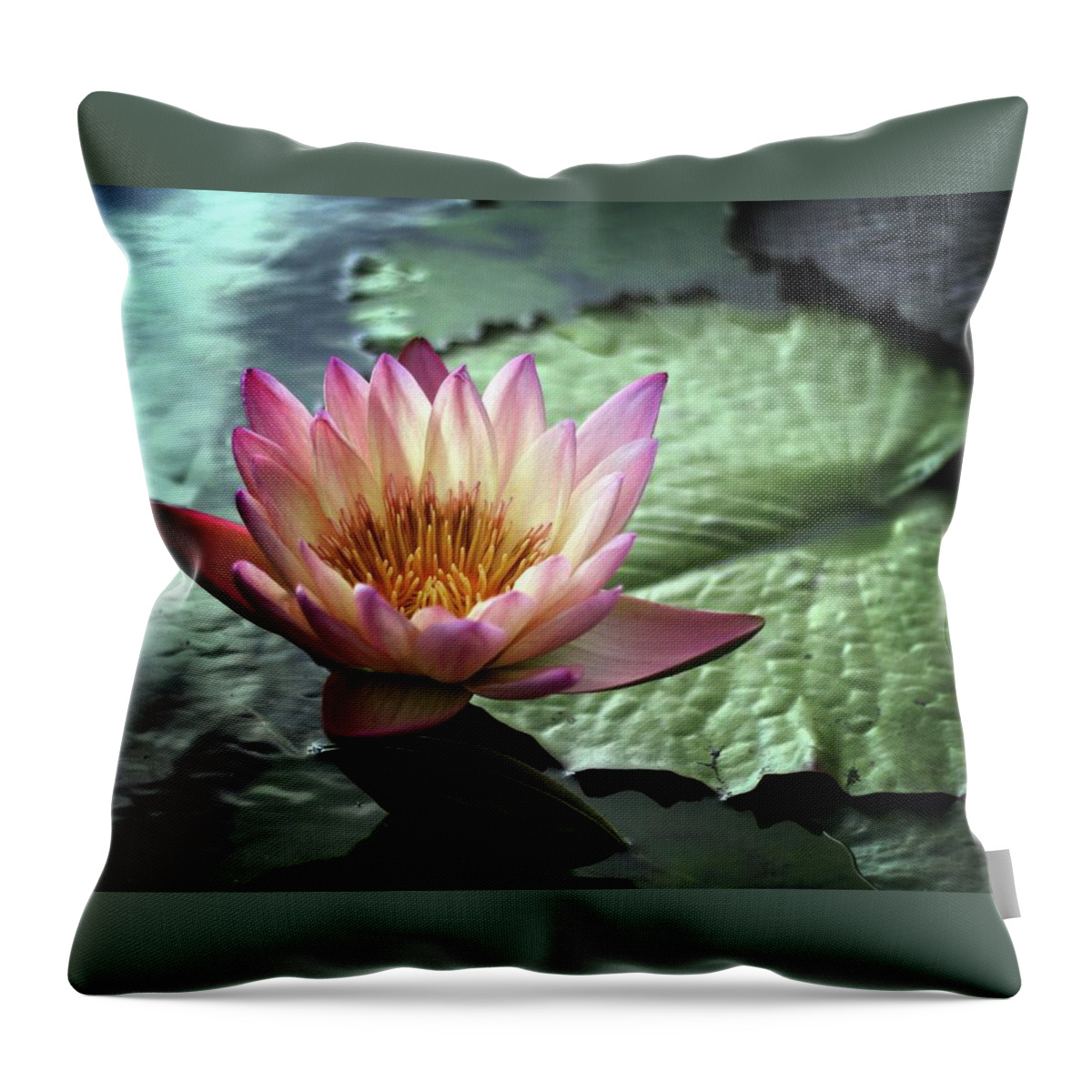 Lily Throw Pillow featuring the photograph Twilight Lily by Jessica Jenney