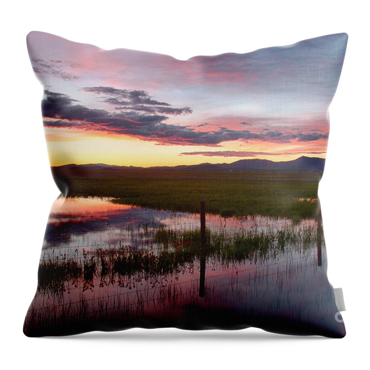 Camas County Throw Pillow featuring the photograph Twilight on the Marsh by Idaho Scenic Images Linda Lantzy