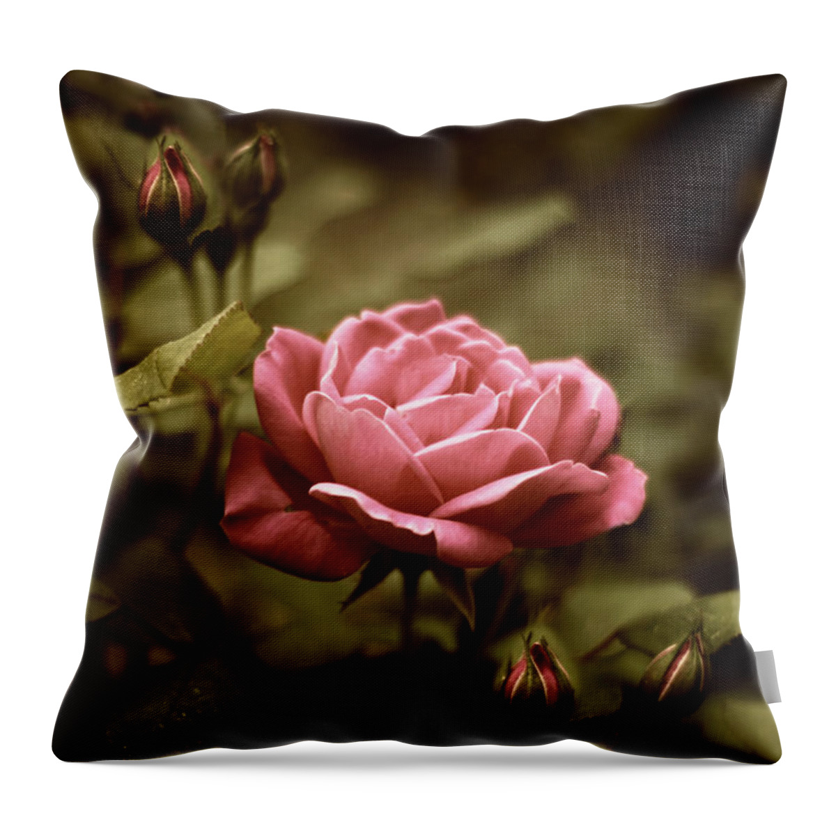 Flowers Throw Pillow featuring the photograph Twilight Rose by Jessica Jenney
