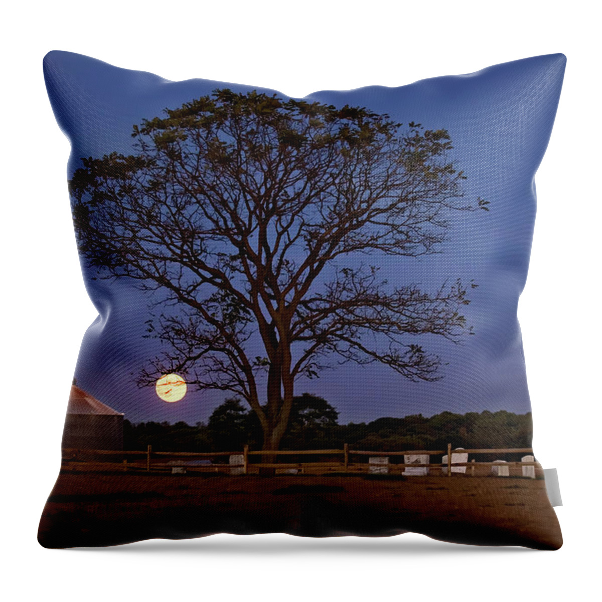Tree Throw Pillow featuring the photograph Twilight Tombstones by Jill Love