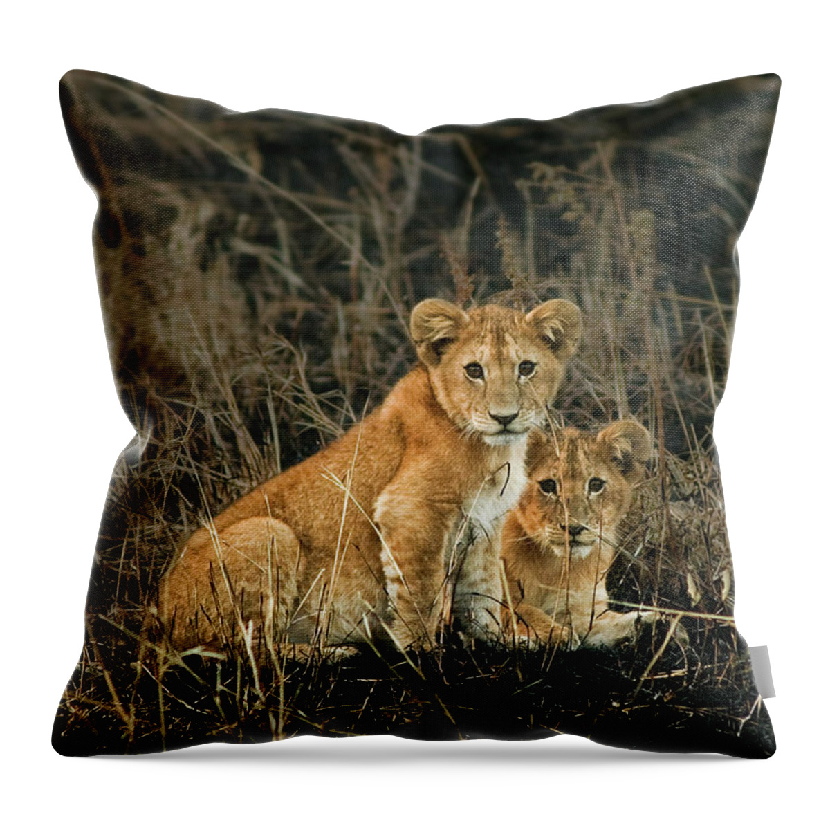 Africa Throw Pillow featuring the photograph Twin gazes by Sylvia Zarco