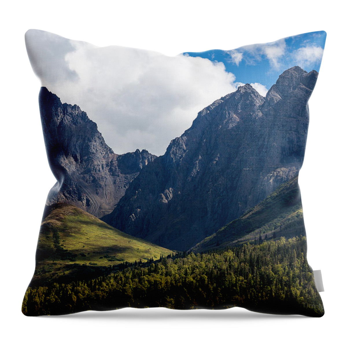 Alaska Throw Pillow featuring the photograph Twin Peaks in Mid-Summer by Tim Newton
