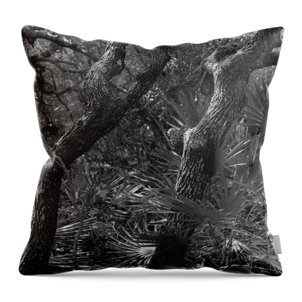 Guana Tolomato Matanzas Reserve Throw Pillow featuring the photograph Twin Trees - Guana Tolomato Matanzas Reserve by John Simmons