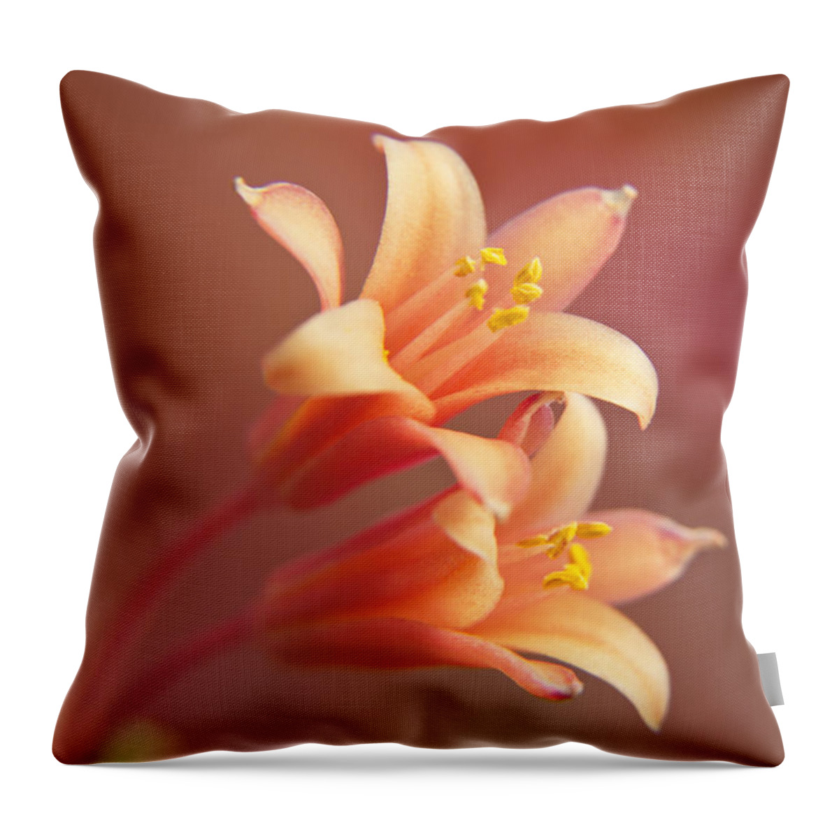 Wall Art Throw Pillow featuring the photograph Twin Yucca Flowers by Kelly Holm