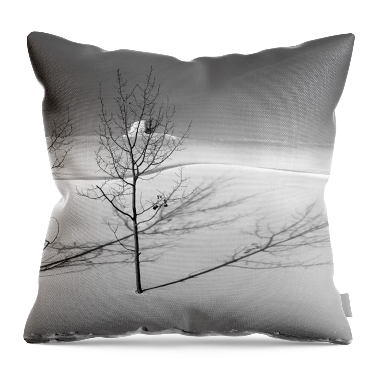 Nature Throw Pillow featuring the photograph Twins by Skip Hunt