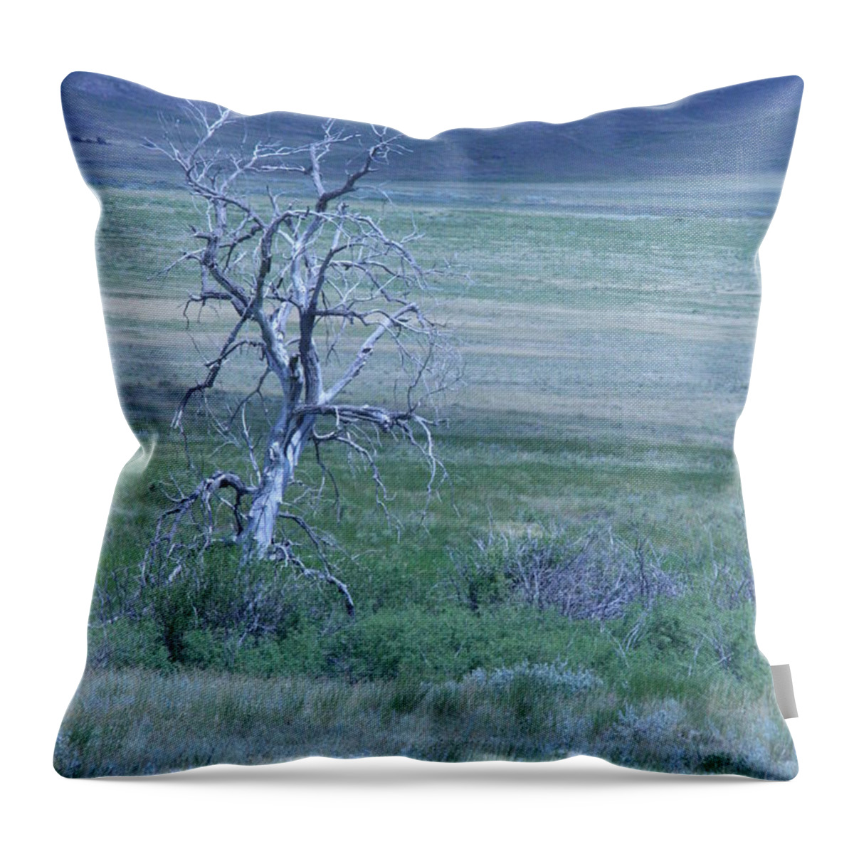 Tree Throw Pillow featuring the photograph Twisted and Free by Mary Mikawoz