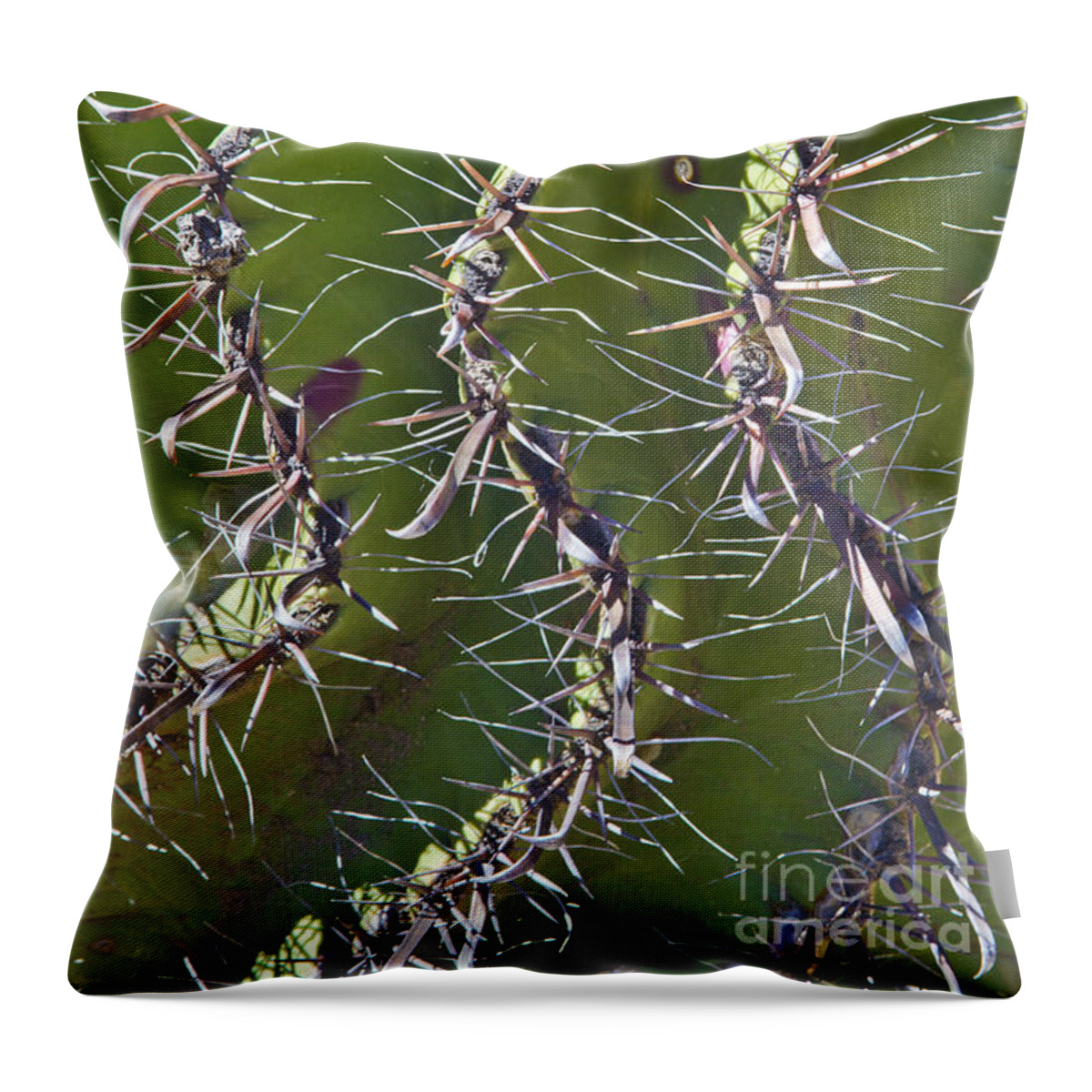 Arizona Throw Pillow featuring the photograph Twisted by Kathy McClure