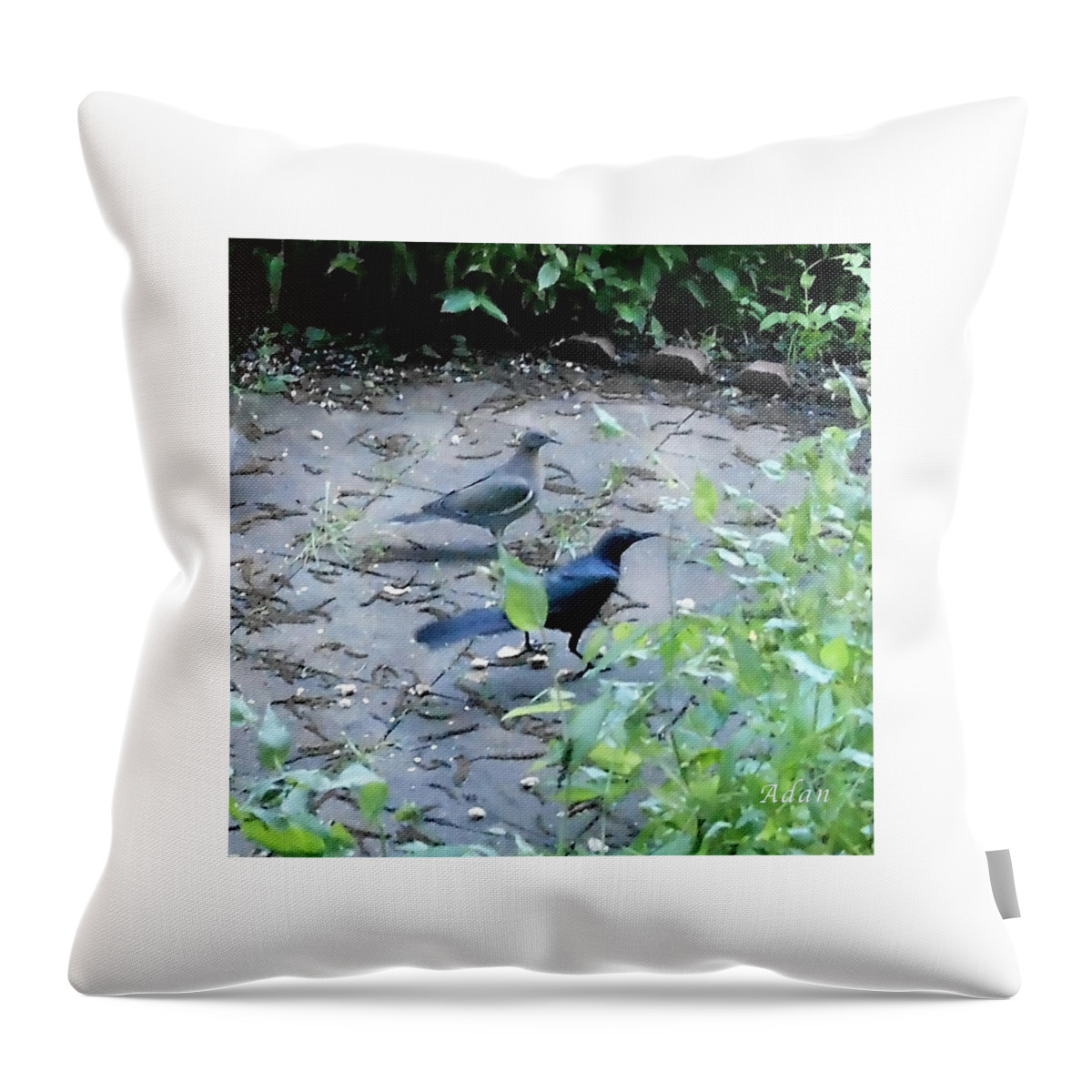 Two Birds Throw Pillow featuring the photograph Two Birds by Felipe Adan Lerma