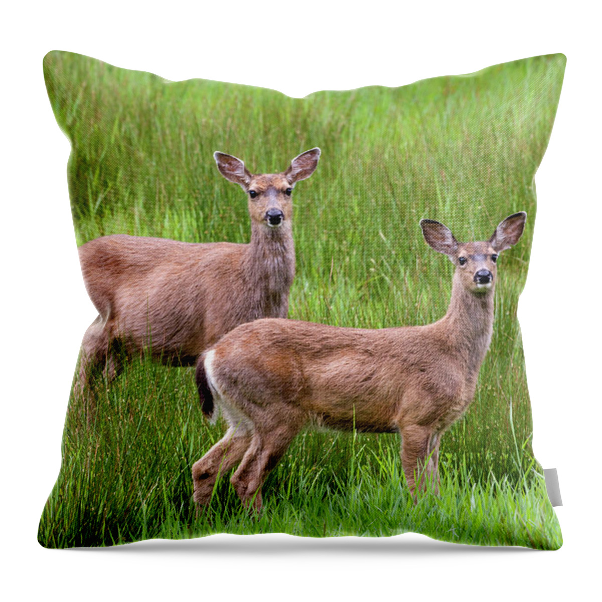 Animal Throw Pillow featuring the photograph Two Blacktail Does - Western Oregon by Randall Ingalls
