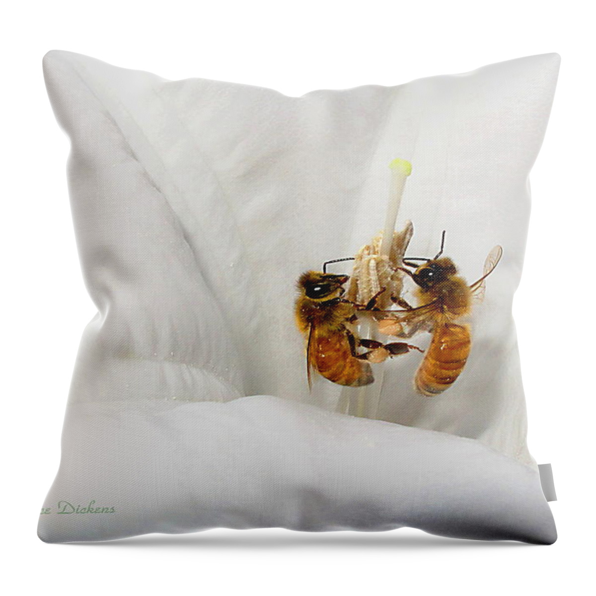 Bee Throw Pillow featuring the photograph Two Busy by Joyce Dickens