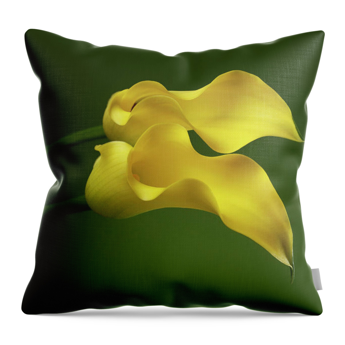 Calla Throw Pillow featuring the photograph Two Calla Lily Flowers on Green background by Sergey Taran