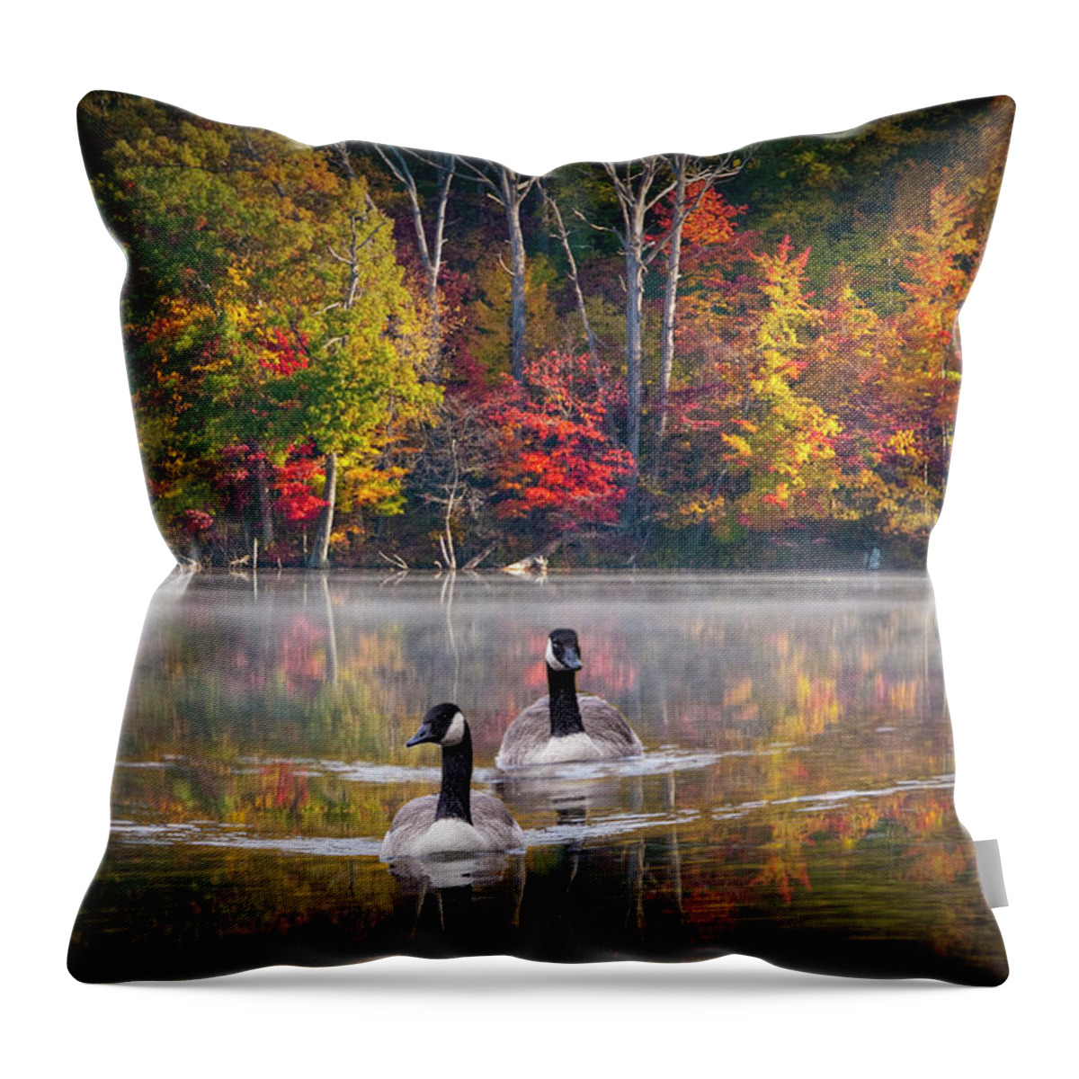 Canada Throw Pillow featuring the photograph Two Canadian Geese swimming in Autumn by Randall Nyhof
