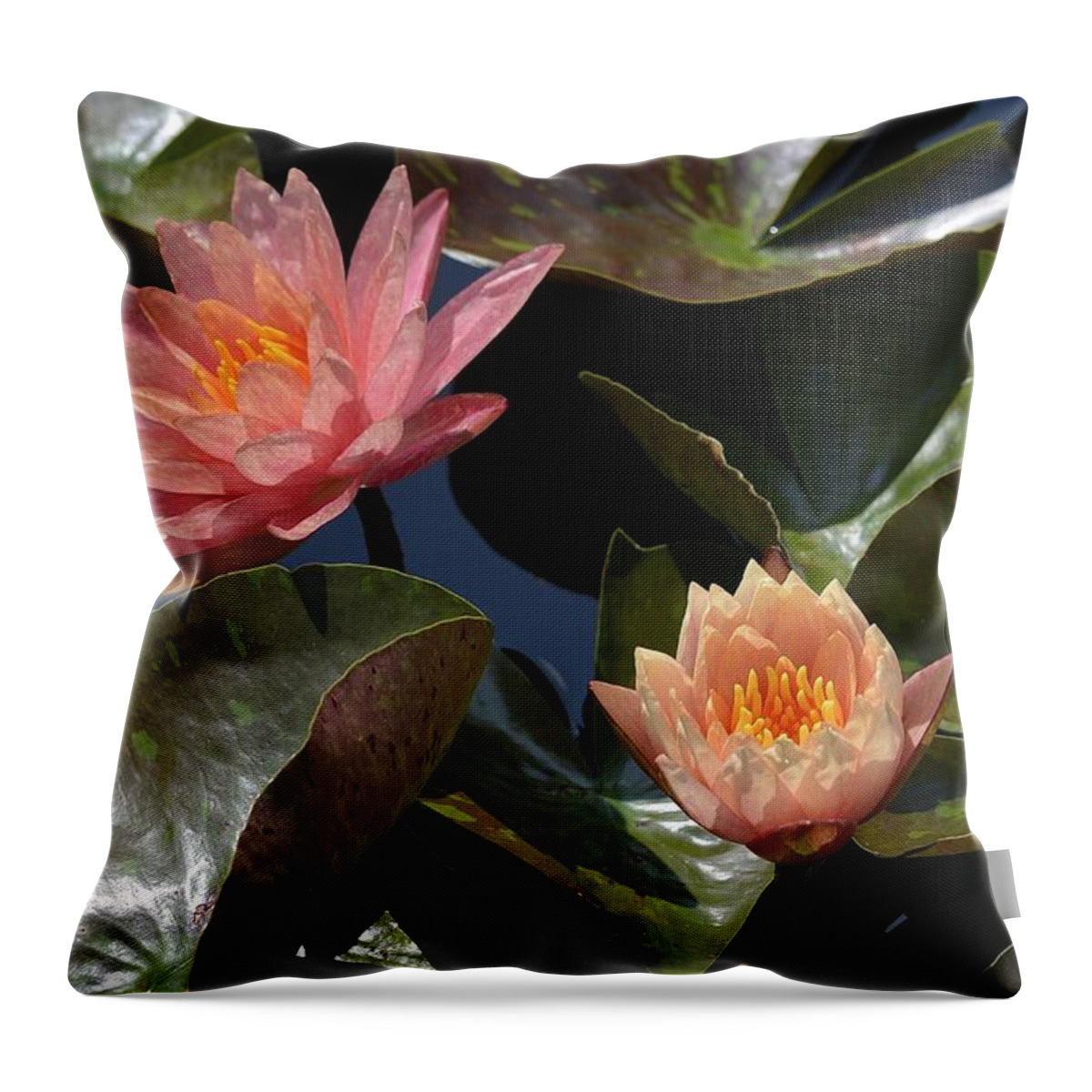 Longwood Gardens Throw Pillow featuring the photograph Two Coral Waterlilies by Tana Reiff