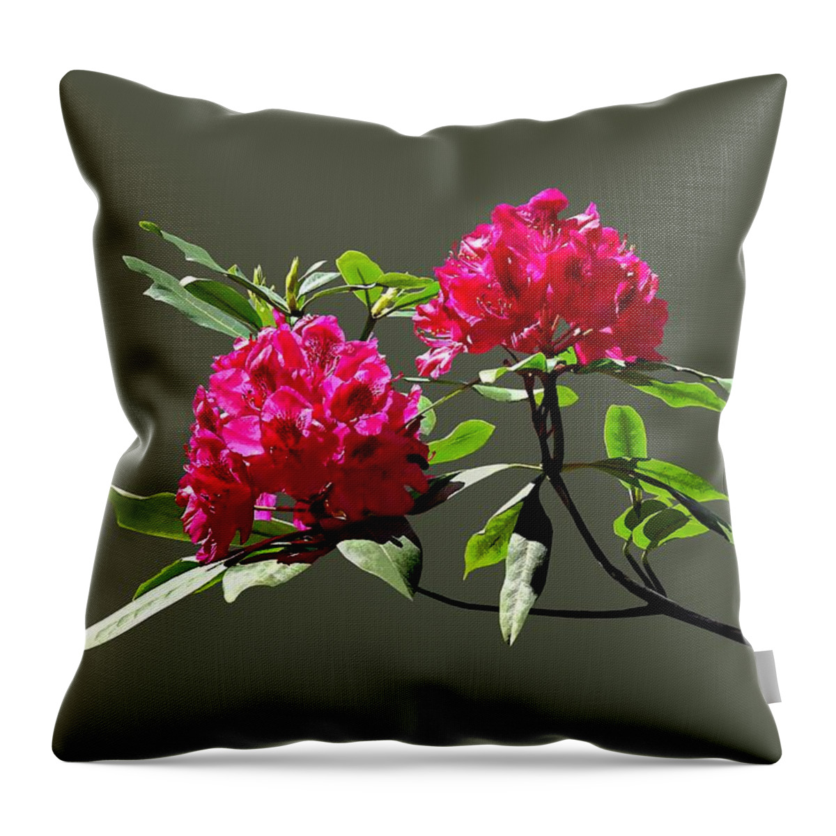 Rhododentron Throw Pillow featuring the photograph Two Dark Red Rhododendrons by Susan Savad