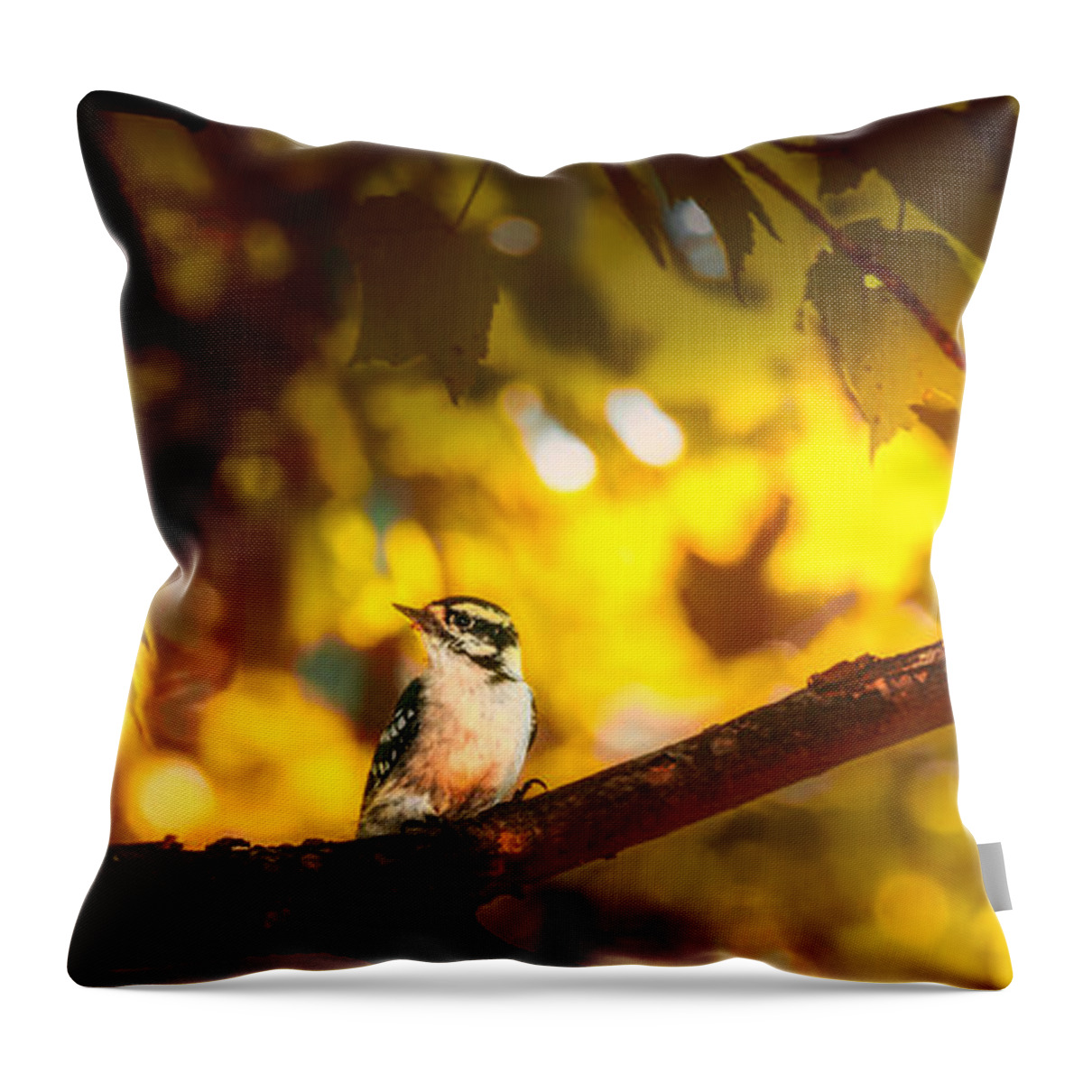 Woodpecker Throw Pillow featuring the photograph Two Downy Woodpeckers by Bob Orsillo