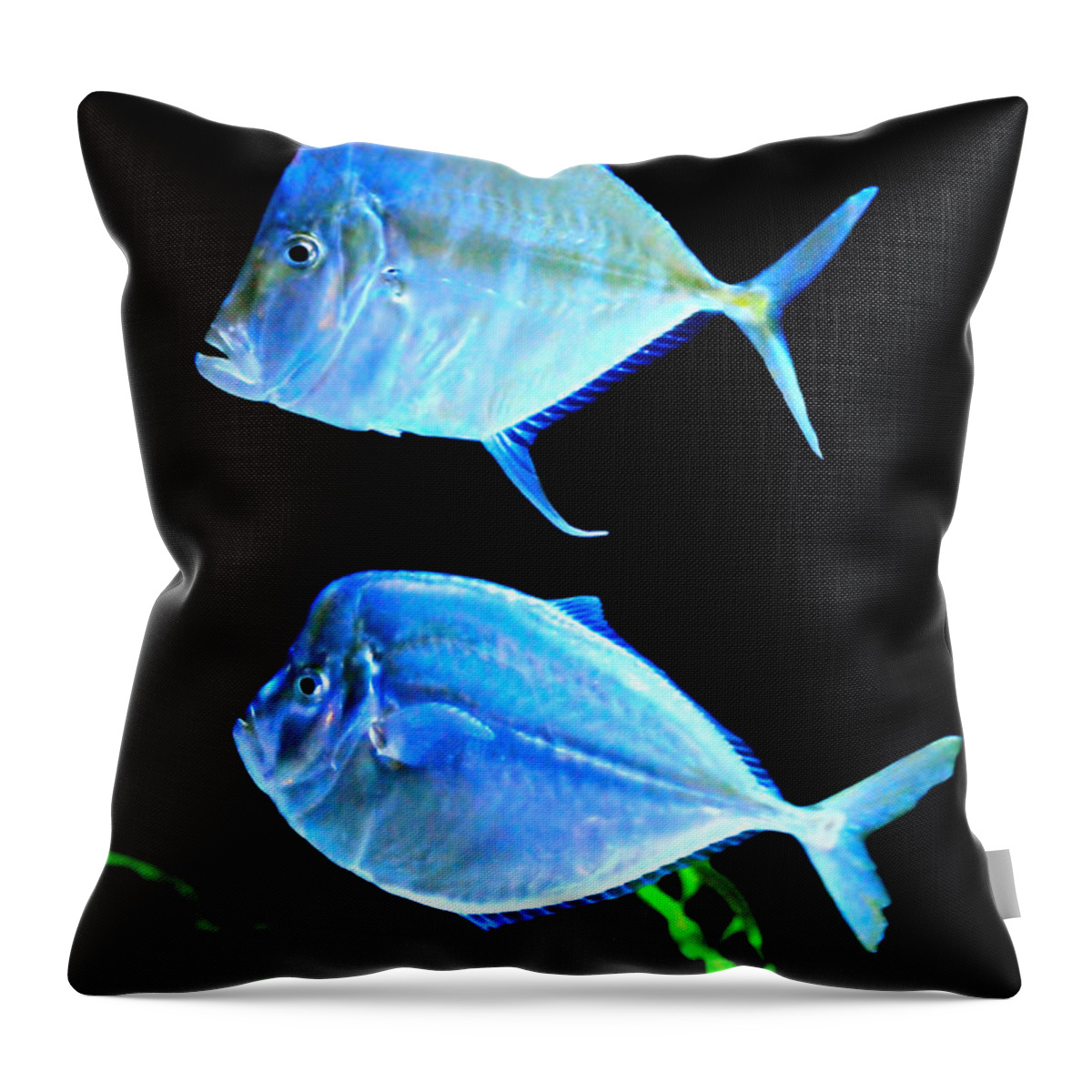 Fish Throw Pillow featuring the photograph Two Fish Blue Fish by Diana Angstadt
