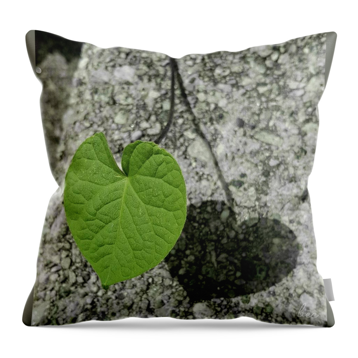 Plant Throw Pillow featuring the photograph Two hearts entwined by Bruce Carpenter