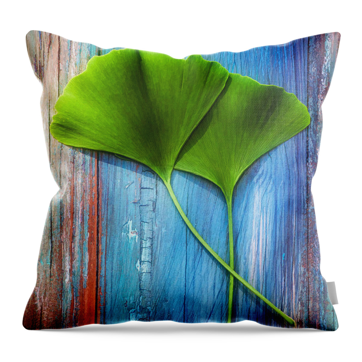 Ginkgo Throw Pillow featuring the photograph Two leaves of ginkgo biloba by Philippe Sainte-Laudy