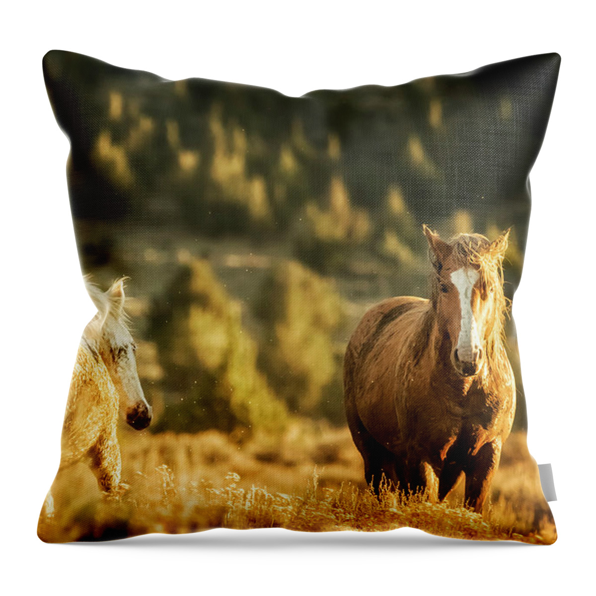 Wild Horses Throw Pillow featuring the photograph Two Mustangs Post Playtime at the Waterhole by Belinda Greb