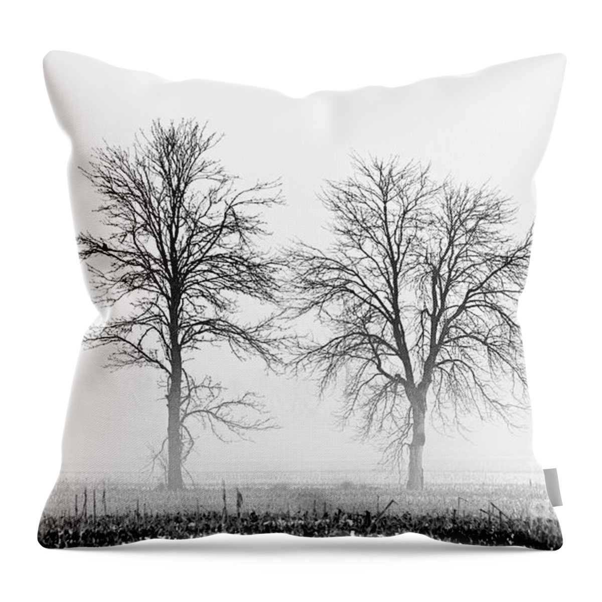 Nina Stavlund Throw Pillow featuring the photograph Two... by Nina Stavlund