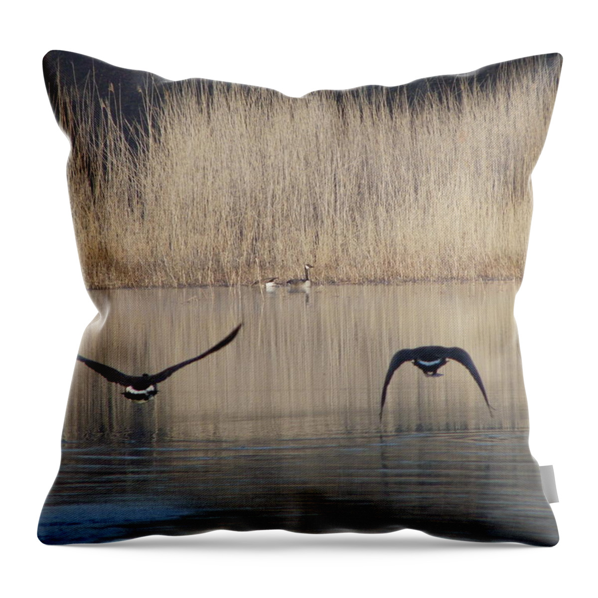 Wildlife Throw Pillow featuring the photograph Two Pairs by Peggy King