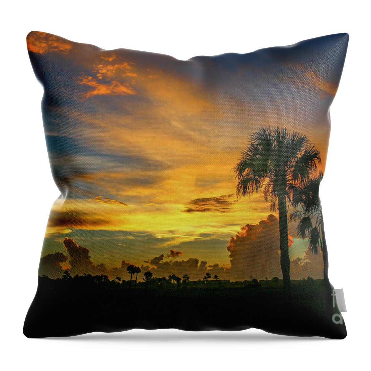 Palm Throw Pillow featuring the photograph Two Palm Silhouette Sunrise by Tom Claud