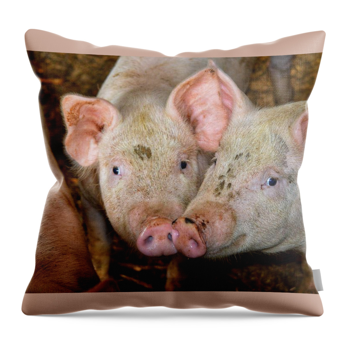 Pig Throw Pillow featuring the photograph Two Pigs by Joseph Caban