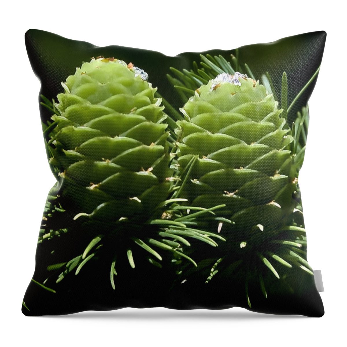 Two Throw Pillow featuring the photograph Two Pinecones by Svetlana Sewell
