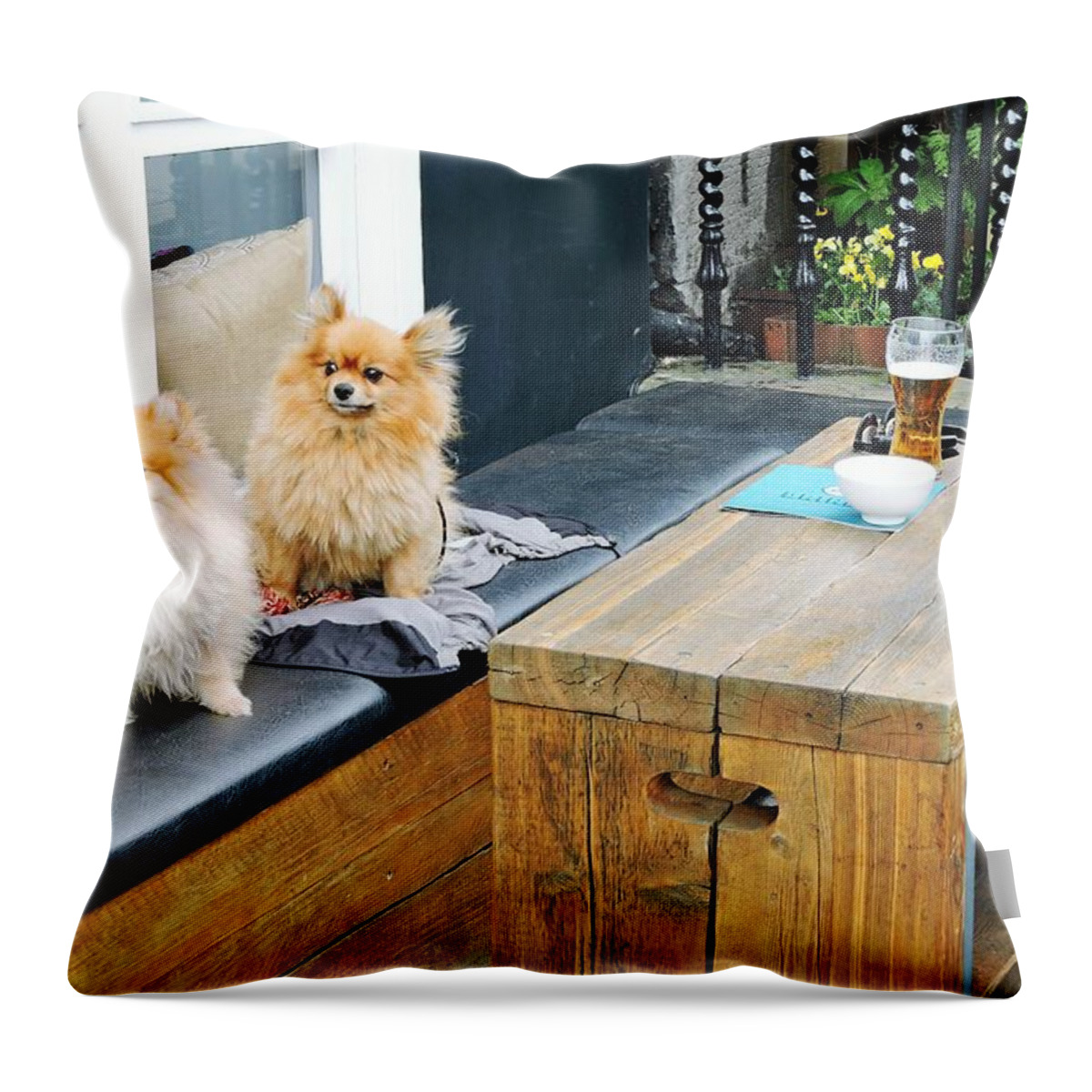Pomeranian Throw Pillow featuring the photograph Two Pomeranians by William Slider