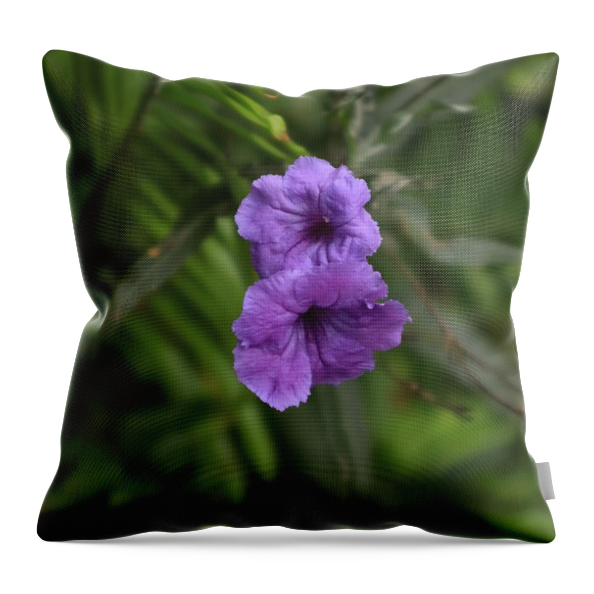 Flora Throw Pillow featuring the photograph Two Purple flowers by Marcia Lee Jones