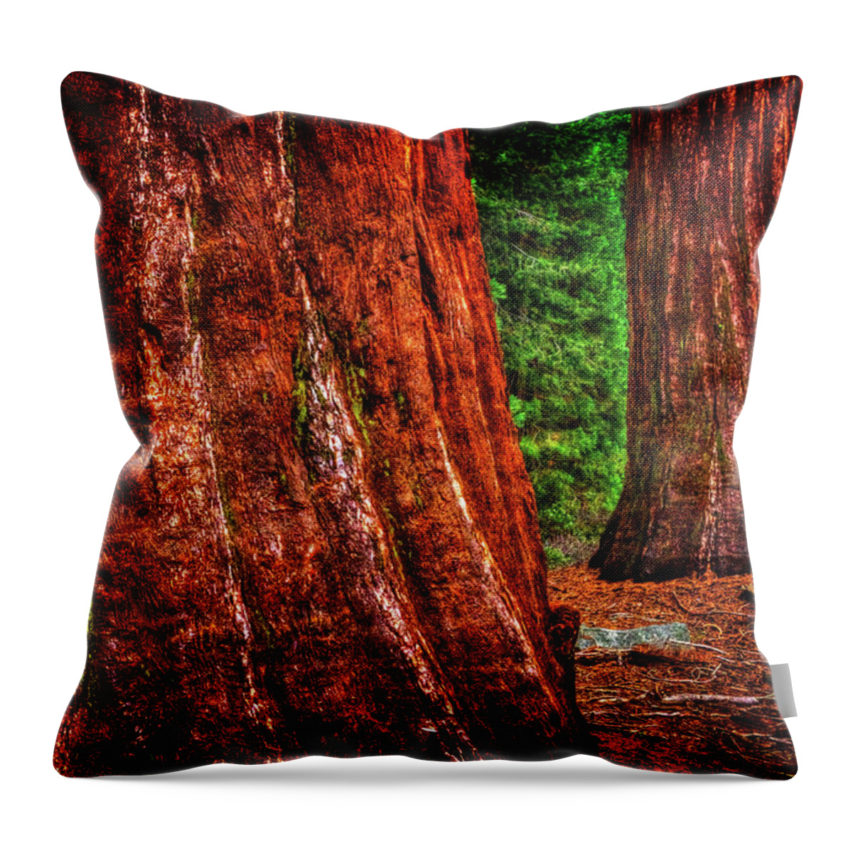 California Throw Pillow featuring the photograph Two Sequoias at Grants Grove by Roger Passman