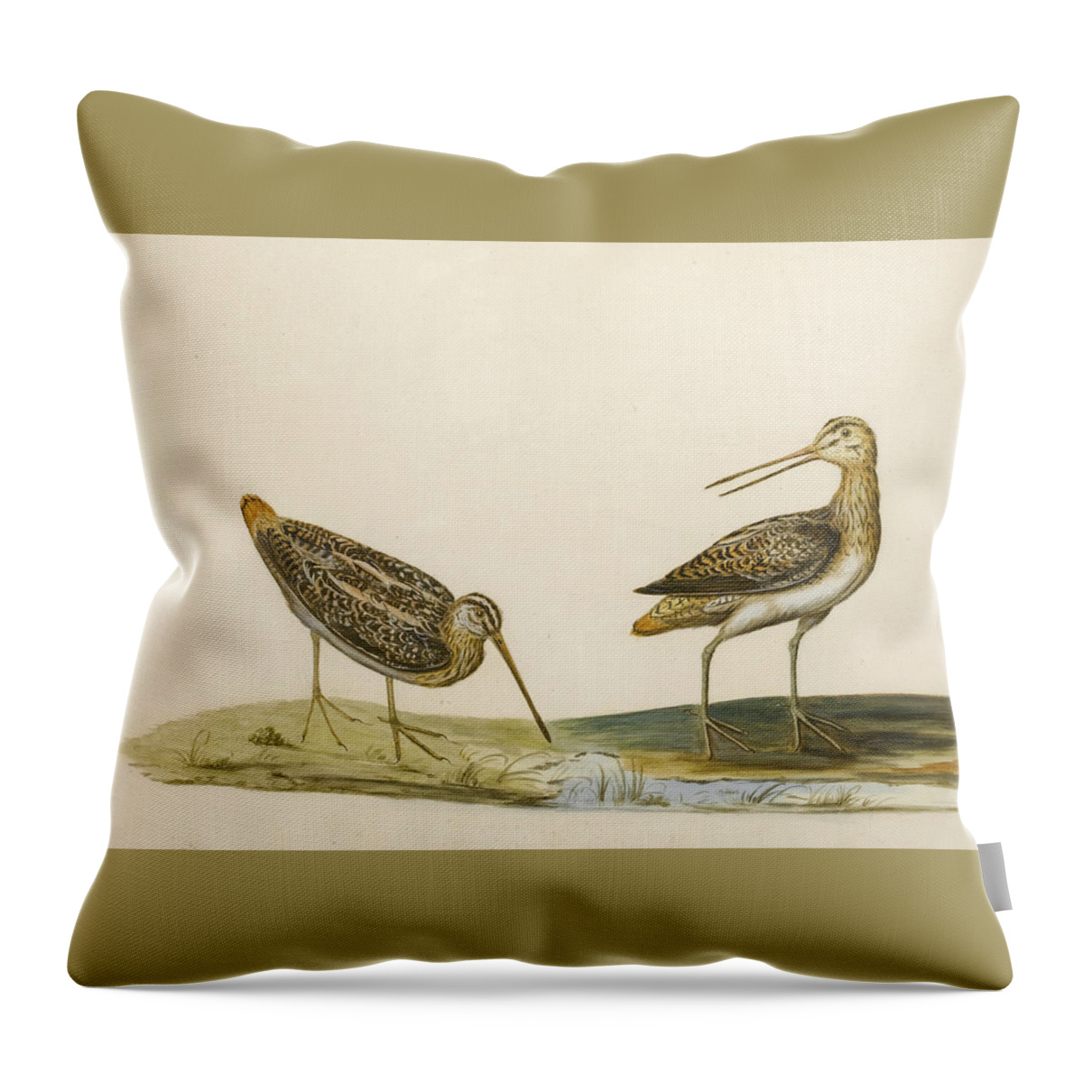 Peter Paillou Throw Pillow featuring the drawing Two Snipe by Peter Paillou