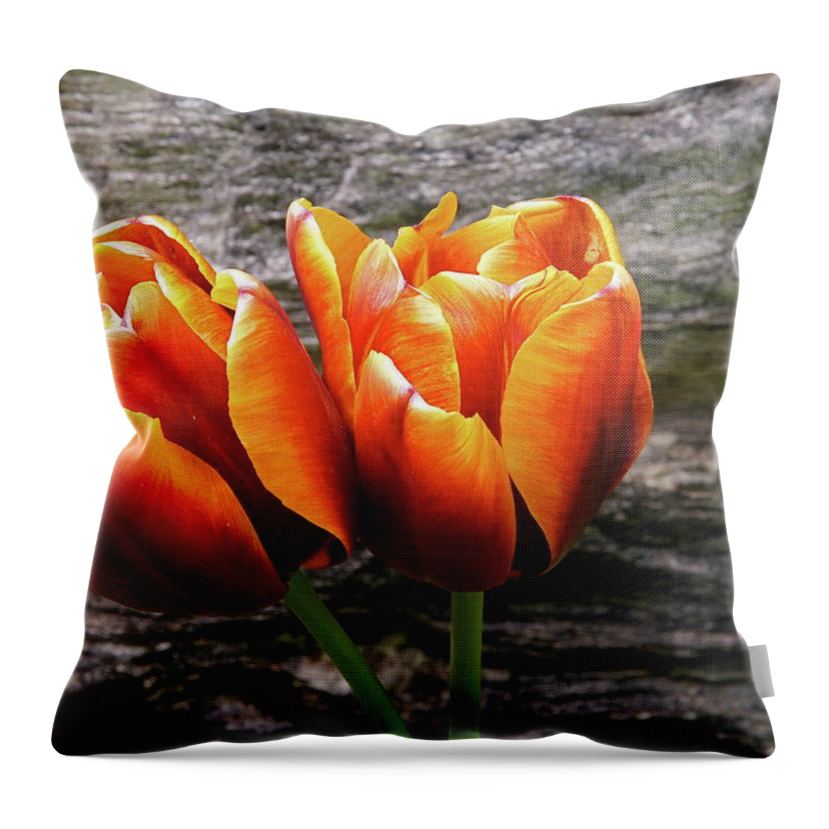Floral Throw Pillow featuring the photograph Two Tulips And Stone by Byron Varvarigos