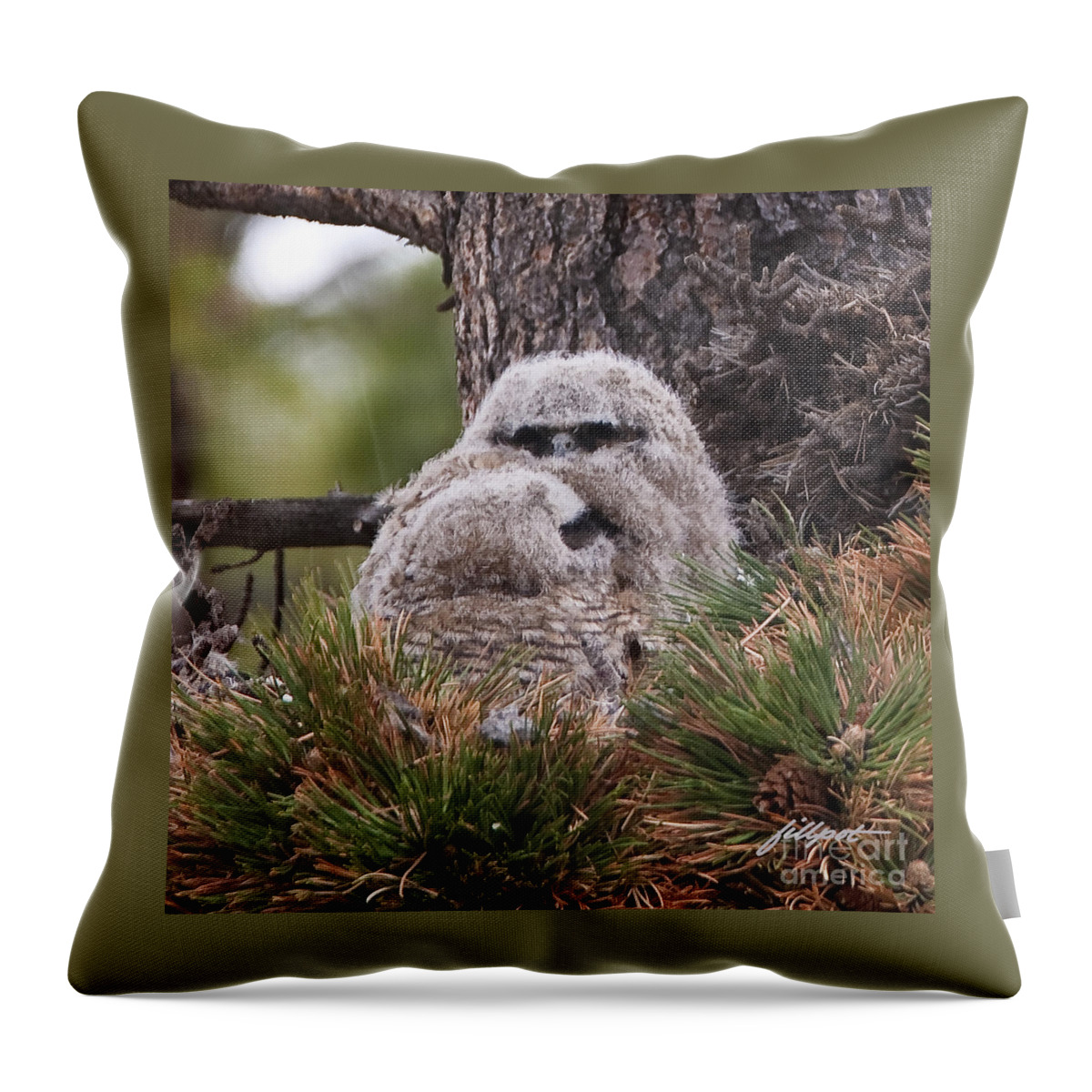 Two Baby Great Horned Owl Chicks Throw Pillow featuring the photograph Two Whooo's by Bon and Jim Fillpot